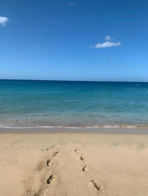 Casita 8 Minutes From Crashboat Beach อกวาดิยา ภายนอก รูปภาพ